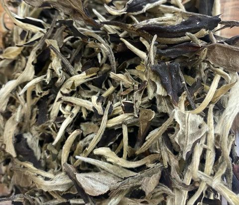 Old Tree Yue Guan Bai, Moon Light White Pu'erh