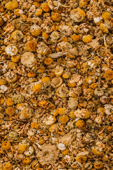 Chamomile, Organic