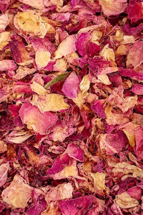 Rose Petals