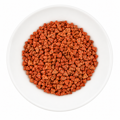 Annatto Seed, whole dry product on a plain white plate against a white background