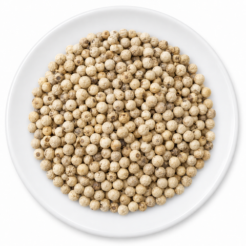 Peppercorn, White, whole on a plain white plate