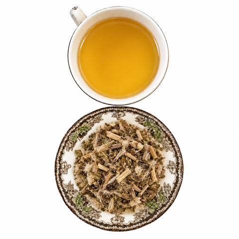 Blessed Thistle dry product and prepared infusion on a white background