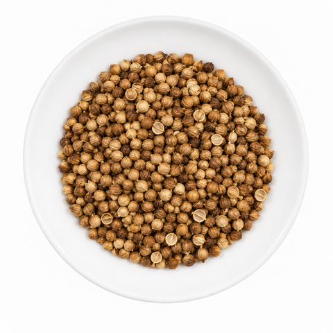 Coriander Seed, whole dry product on a plain white plate against a white background
