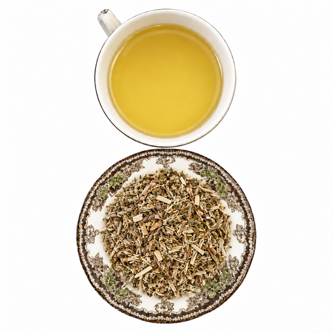 Horsetail dry product and prepared infusion on a white background