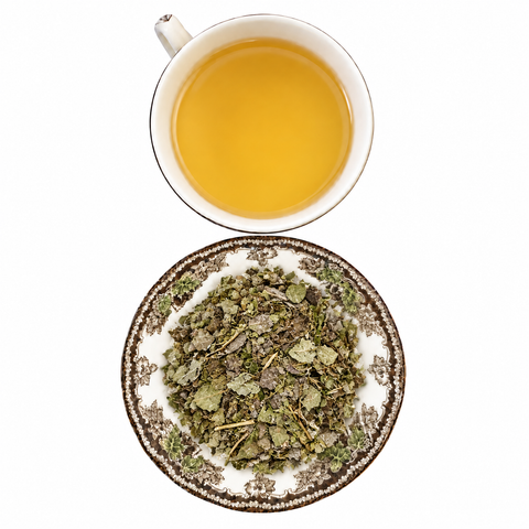 Yaupon Holly, Organic dry tea and prepared tea on a white background