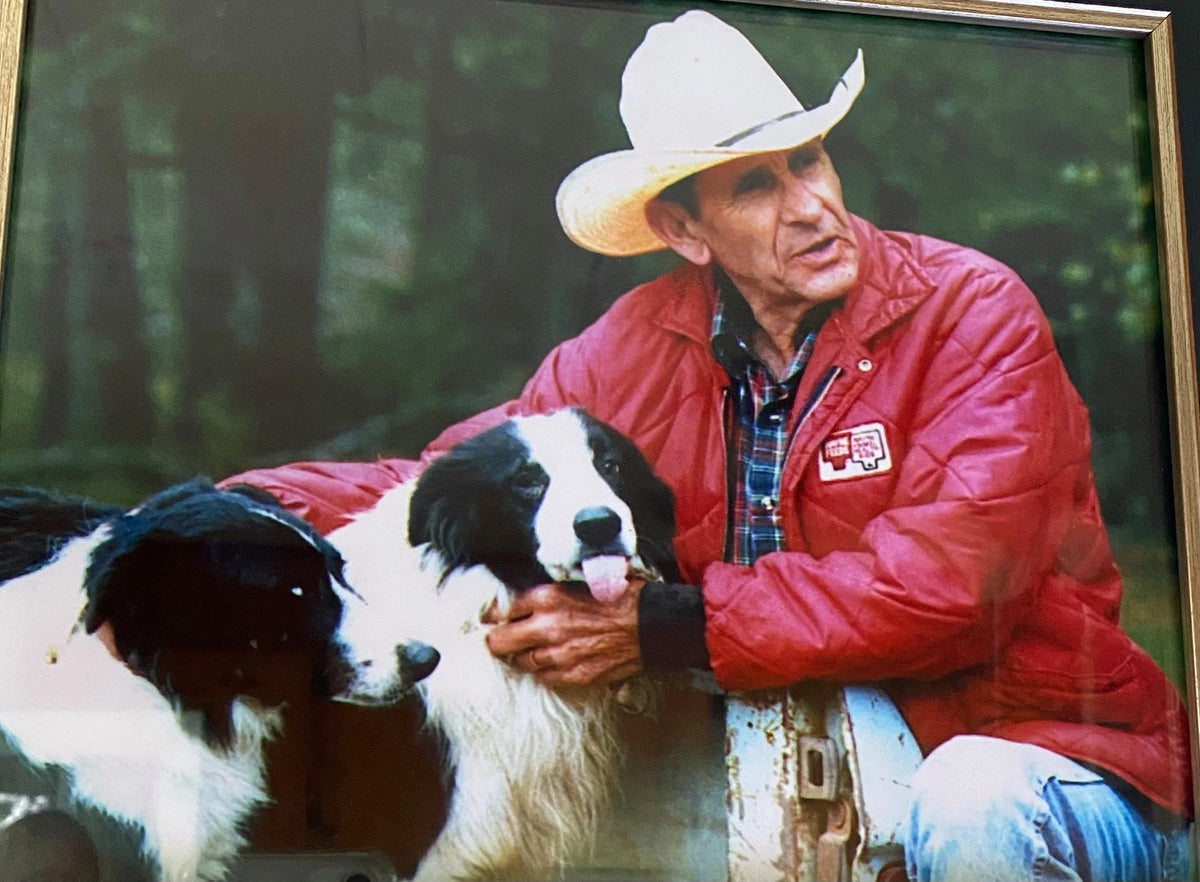 Rachel Strahler's grandfather outdoors with two Border Collies.